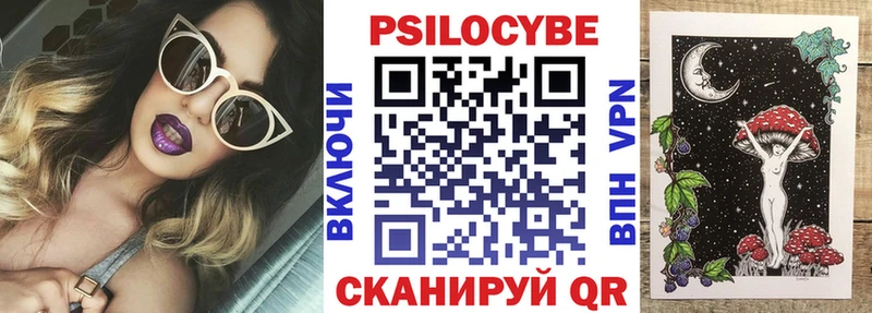 Псилоцибиновые грибы Psilocybine cubensis  где продают   Алзамай 