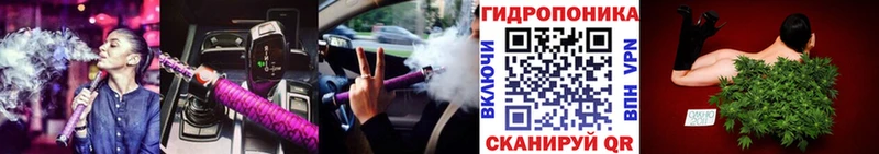 Конопля марихуана Алзамай